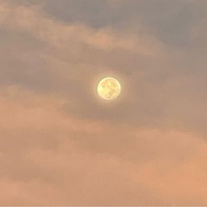 Meet your Posher, Jillian